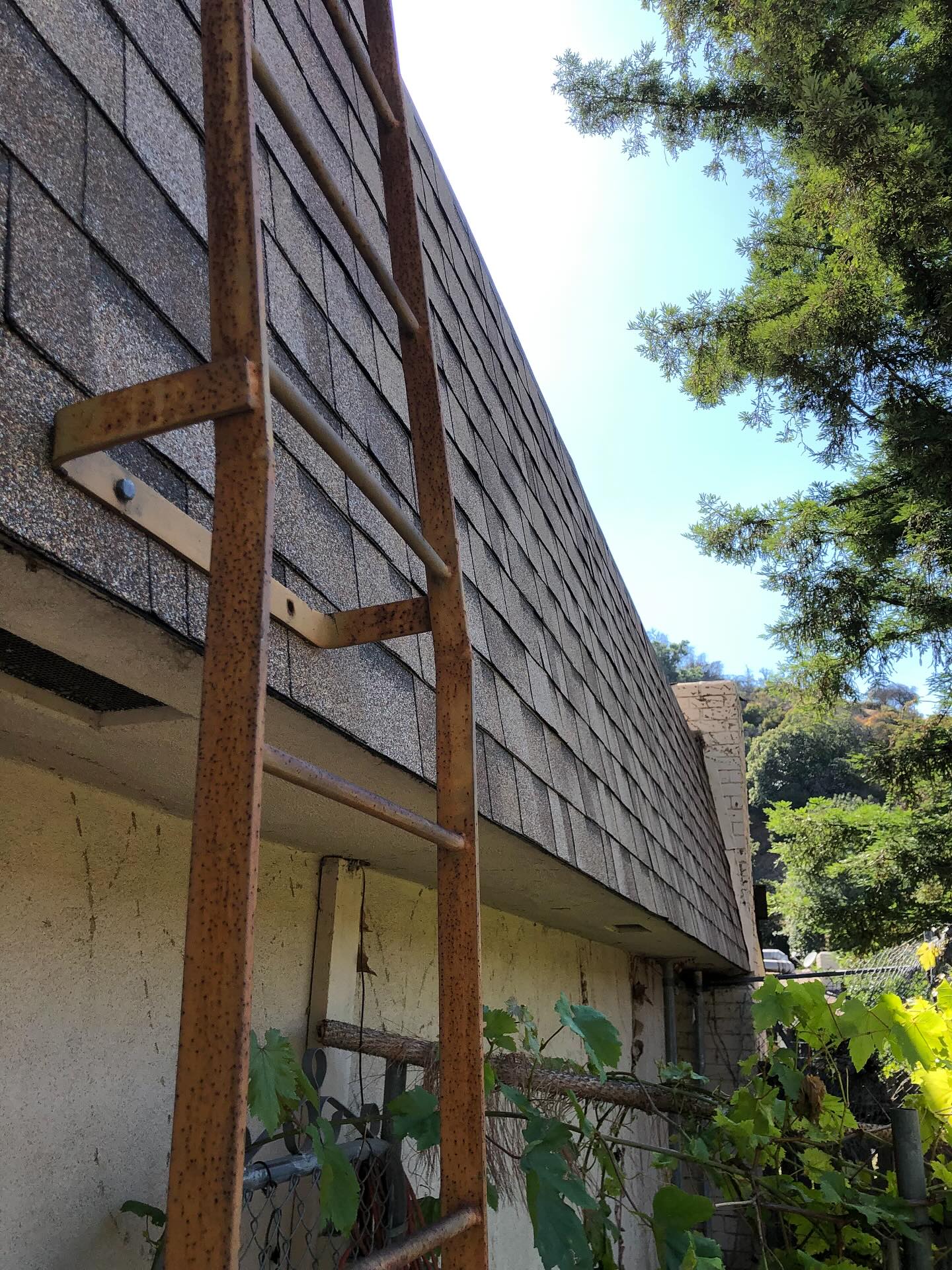 Shingle Work in Encino — photo 5